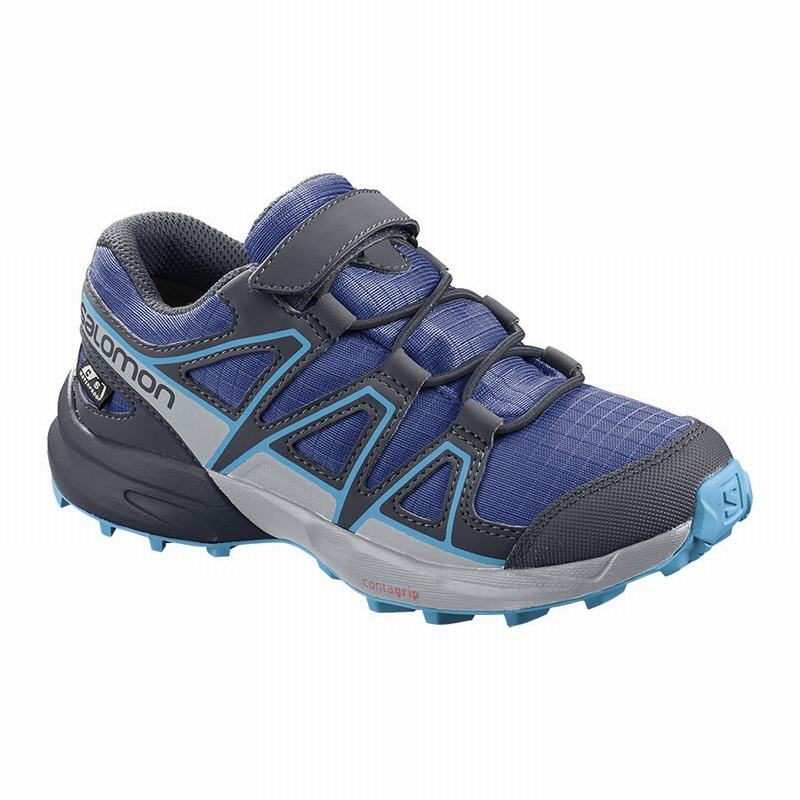 Salomon Singapore Kids Trail Running Shoes - SPEEDCROSS CLIMASALOMON™ WATERPROOF Navy/Blue | 80293-D